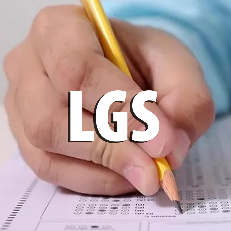 LGS Sınav Sonuç Ekranı